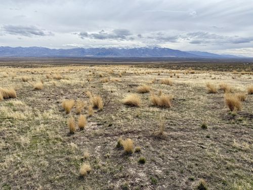 1 Acres Sapphire, Spring Creek, NV, 89815 | Card Image