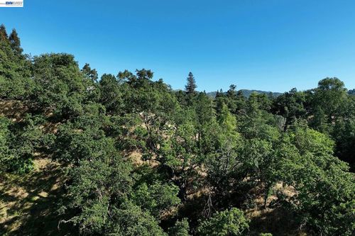 247 Sequoia Ave, Walnut Creek, CA, 94595-1615 | Card Image