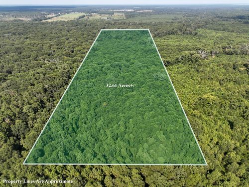 1 County Road 3224, Center, TX, 75935 | Card Image
