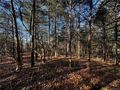 Lot 30 Mountain View Drive, Home with 0 bedrooms, 0 bathrooms and null parking in Livingston NY | Image 1