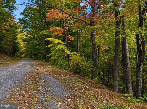 00 Pickett St, BASYE, VA, 22810 | Card Image