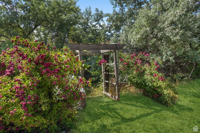 View of yard | Image 31