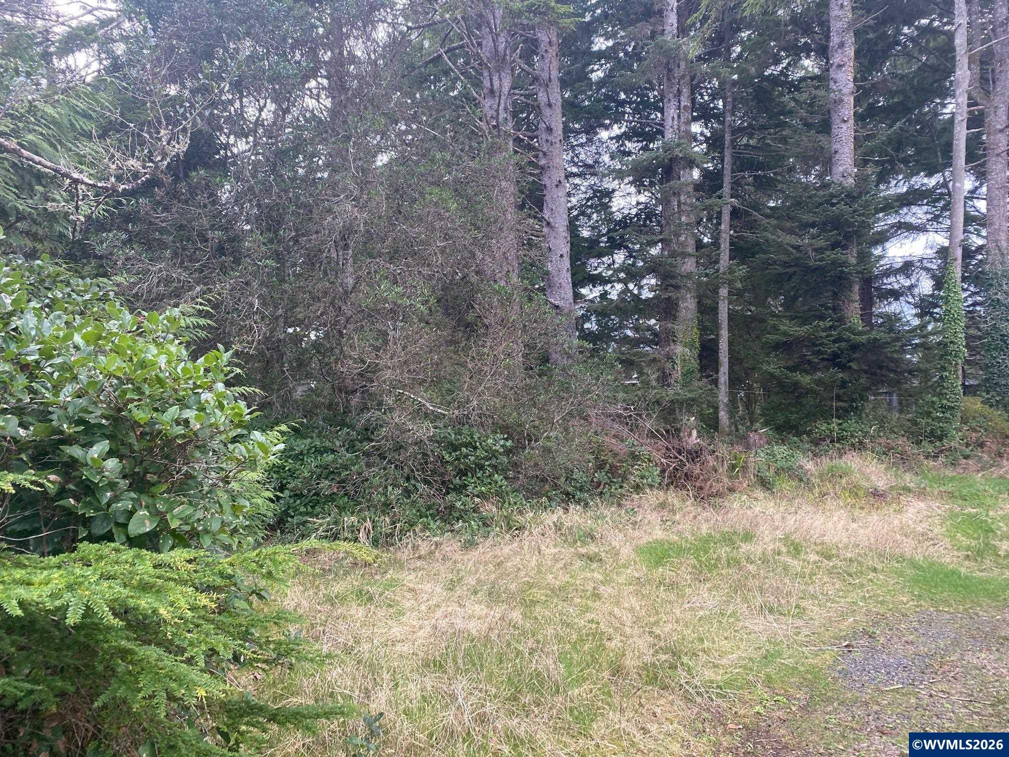 Land in Gleneden Beach 3