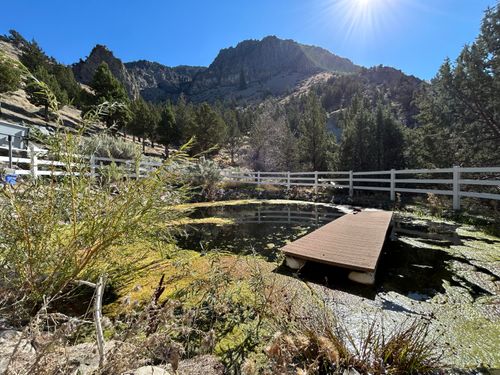 16240 Lost Coyote Ln, Mitchell, OR, 97750-9508 | Card Image