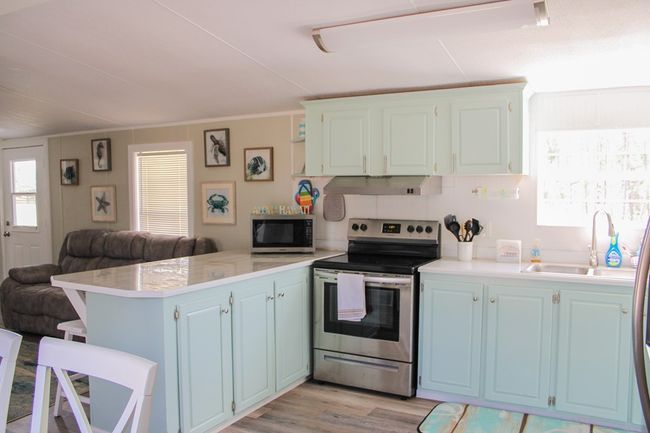 231 Ne Webb Ln, House other with 2 bedrooms, 2 bathrooms and 2 parking in Steinhatchee FL | Image 17