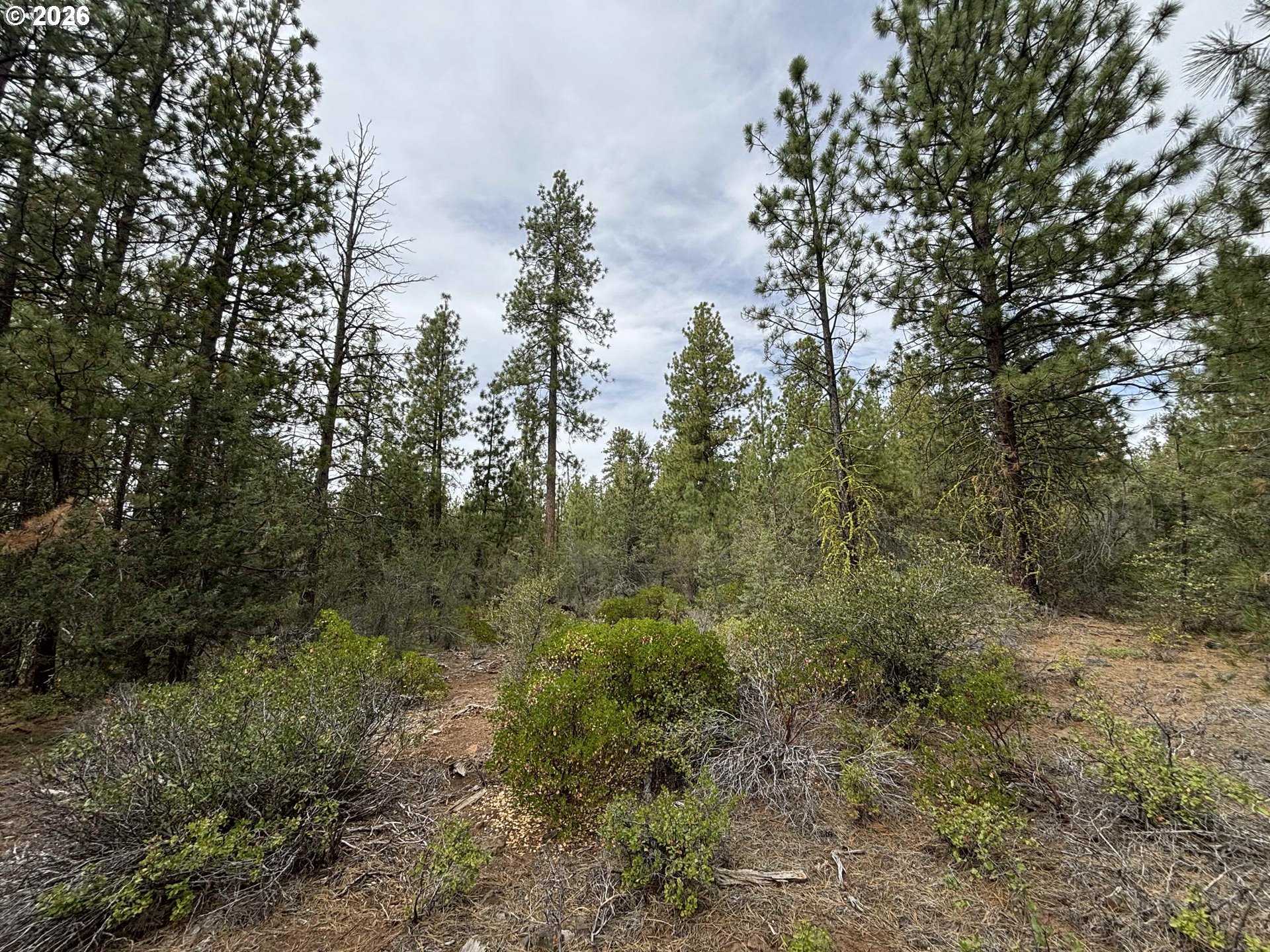 Land in Bonanza