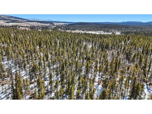 235 Willow Ln, Fairplay, CO, 80440 | Card Image