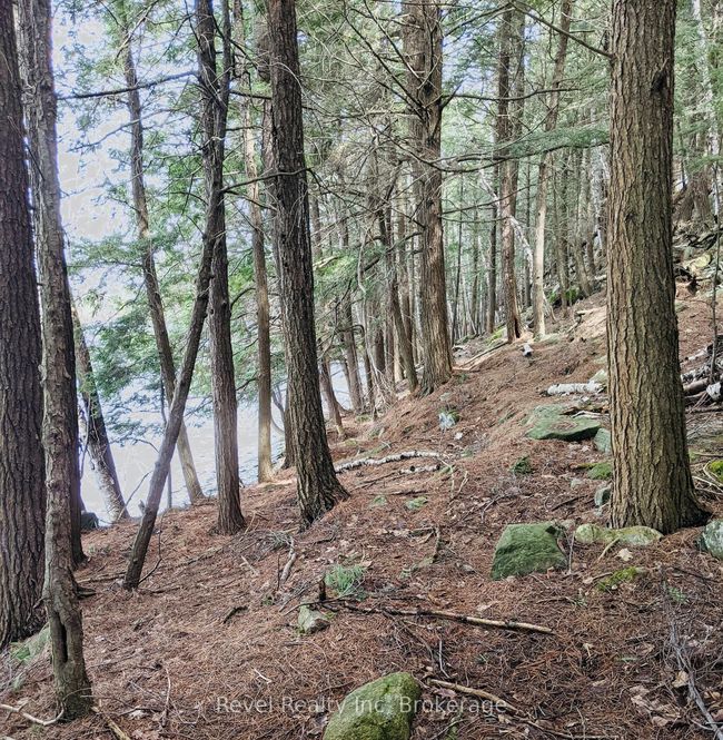 88 Louisa St, Home with 0 bedrooms, 0 bathrooms and null parking in Parry Sound ON | Image 5