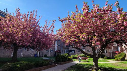 1-65-30 Grand Central Parkway, New York, NY, 11375 | Card Image