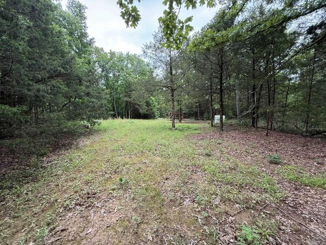 256 Rambo Loop, Home with 0 bedrooms, 0 bathrooms and null parking in Searcy AR | Image 13