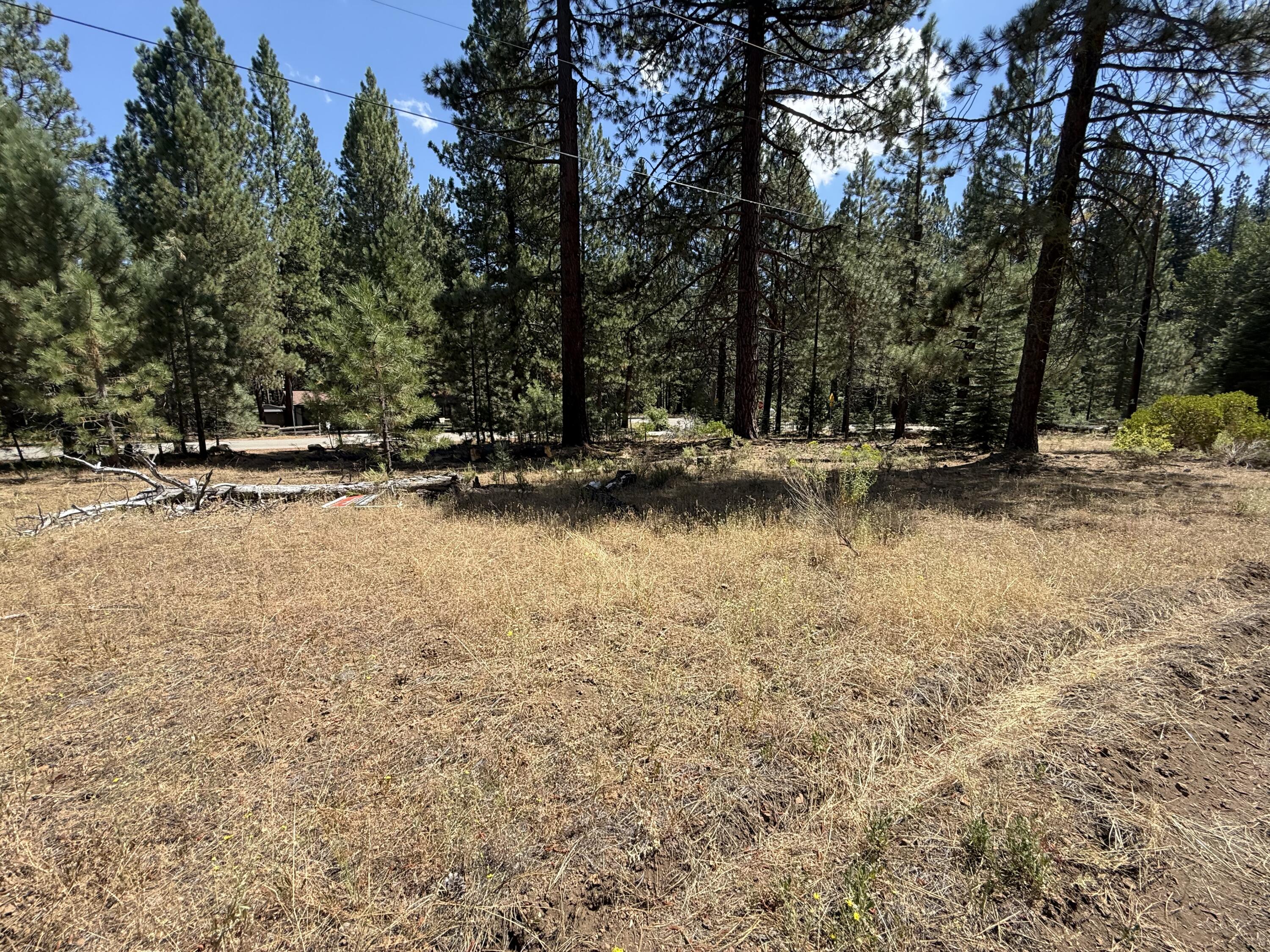 Land in Old Station 2
