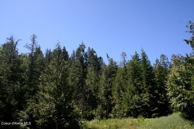 18 Majestic Mountain Rd, Home with 0 bedrooms, 0 bathrooms and null parking in Clark Fork ID | Image 30