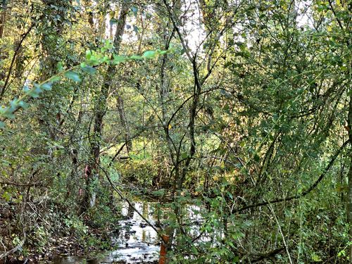 502 Case Rd, Prospect, TN, 38477-6300 | Card Image