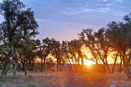33-1422-33 Ranch Road 2766, Johnson City, TX, 78636 | Card Image