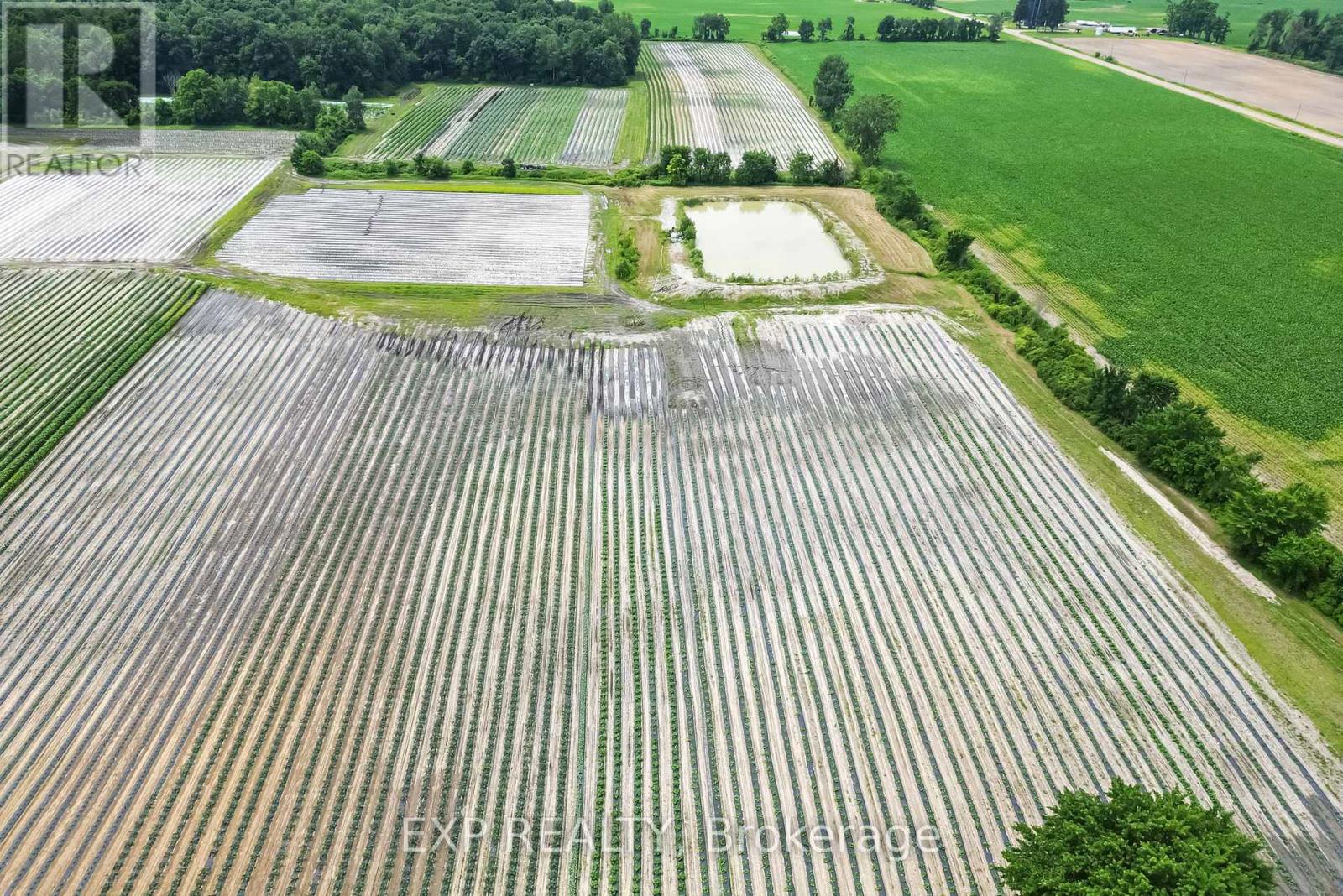 Land in Newbury 5