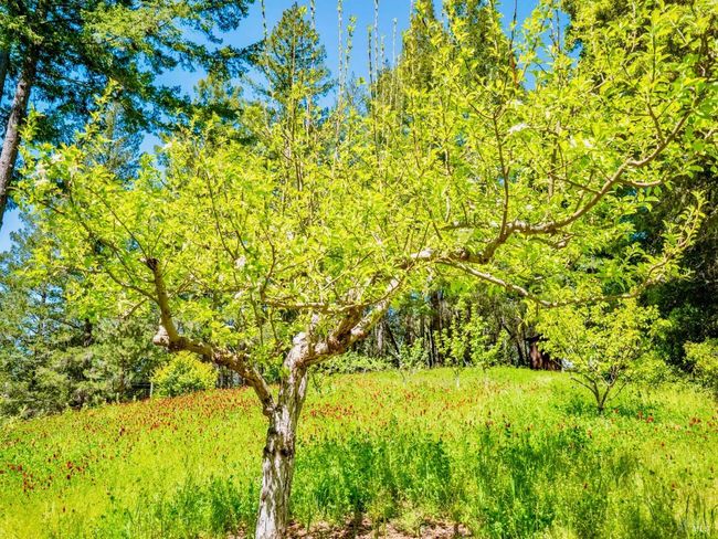 10951 Big Meadow Rd, House other with 2 bedrooms, 3 bathrooms and 6 parking in Philo CA | Image 42