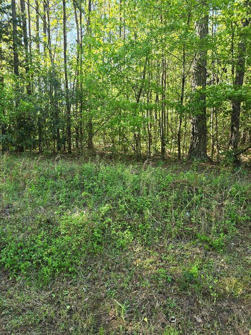 0 Hickory Cir, Waverly Hall, GA, 31831 | Card Image
