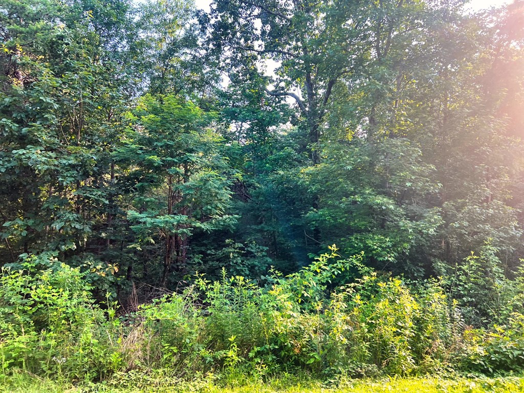 Land in Linden 2