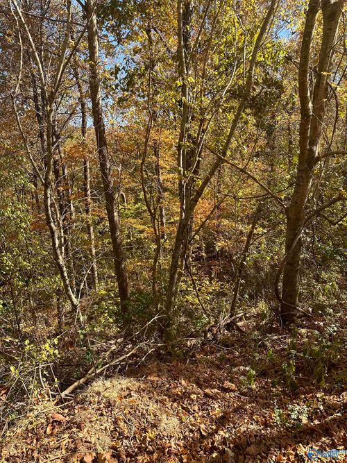 4619 Legacy Preserve Way Se, Brownsboro, AL, 35741-8906 | Card Image