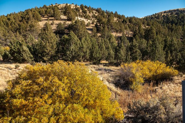 46459 Shaniko-Fossil Hwy RX_0219 copy | Image 55
