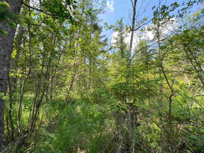 57 Munger Shaw Rd, Home with 0 bedrooms, 0 bathrooms and null parking in Saginaw MN | Image 24