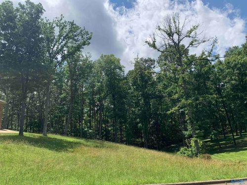 208 Heritage View Cir, Gurley, AL, 35748-8414 | Card Image