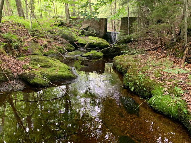 1680 W Hill Dr, Home with 0 bedrooms, 0 bathrooms and null parking in Readsboro VT | Image 23