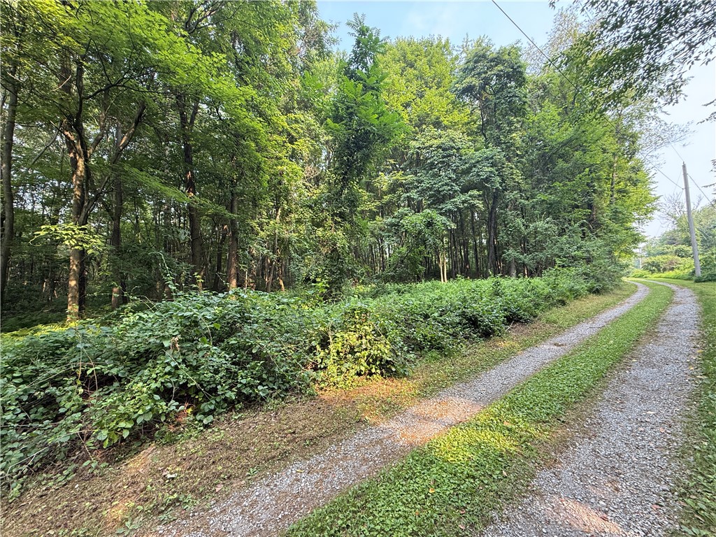 Farm in Brighton Twp 5