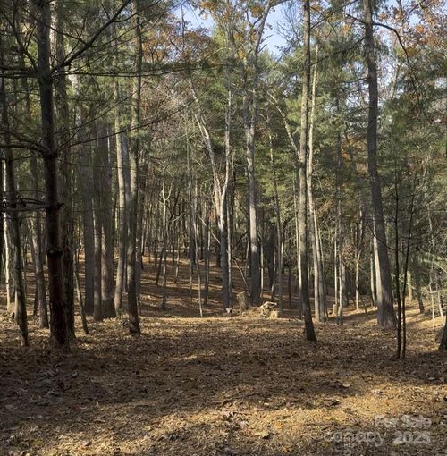 24-0 Cedar Hill Dr, Asheville, NC, 28803 | Card Image