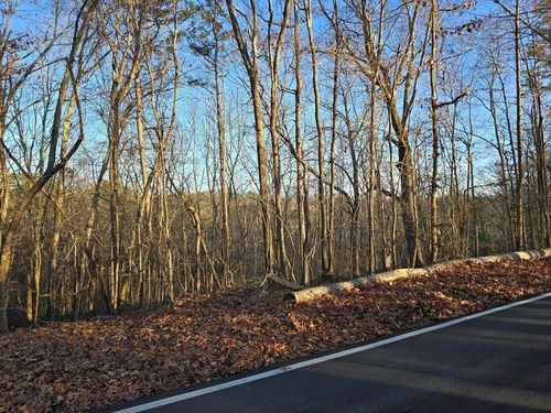 Lot 476 Riverview Dr, Ellijay, GA, 30540 | Card Image