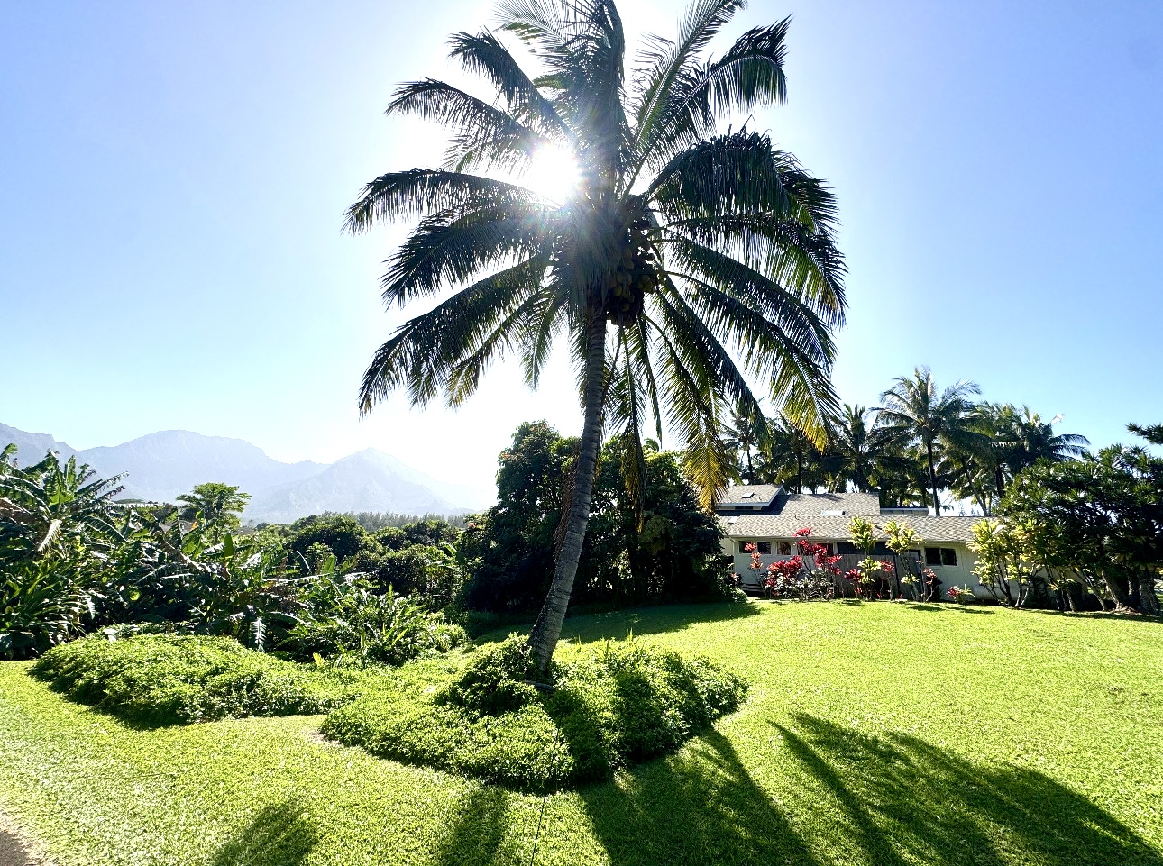 Land in Princeville 3
