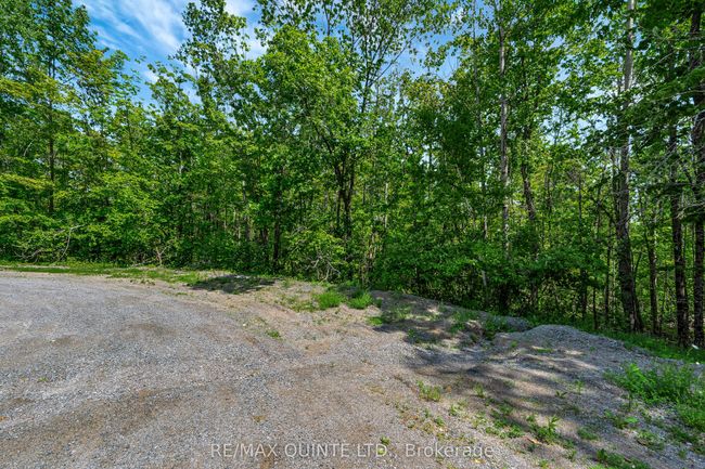 0 Forest Park Rd, Home with 0 bedrooms, 0 bathrooms and null parking in Marmora ON | Image 29
