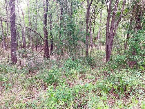 9232 Saddle Path, Sebring, FL, 33875 | Card Image