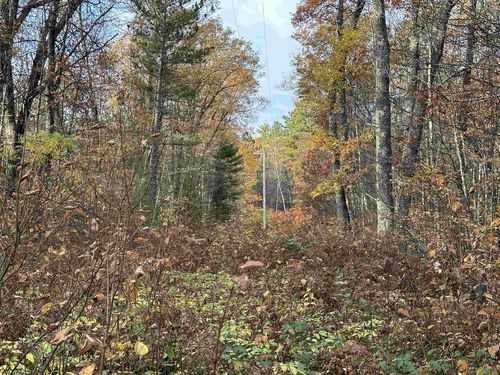 Lot on Cth F, Lac du Flambeau, WI, 54538 | Card Image