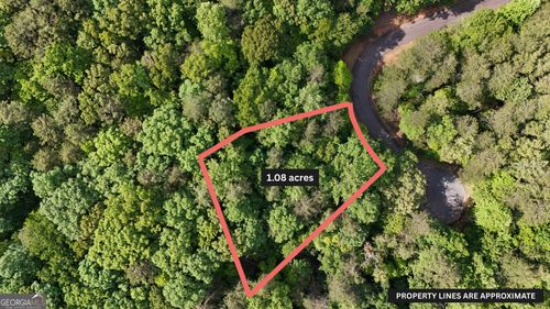 0 Terry Ct, Clarkesville, GA, 30523 | Card Image
