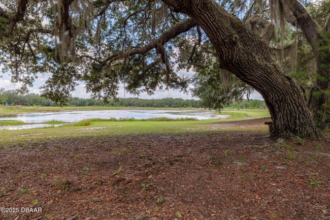111 Penny Acres Ln, House other with 3 bedrooms, 2 bathrooms and null parking in Welaka FL | Image 29