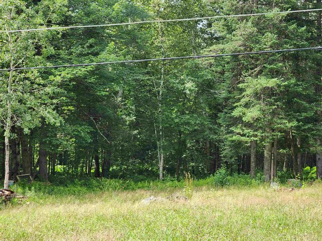 201 Willis Road, Home with 0 bedrooms, 0 bathrooms and null parking in Charleston VT | Image 10