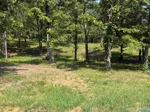 1 County Road 819, Cedar Bluff, AL, 35959 | Card Image