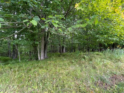 Lot 9 Hermosa Lane, Hayward, WI, 54843 | Card Image