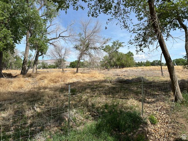 View of local wilderness featuring rural landscape | Image 8