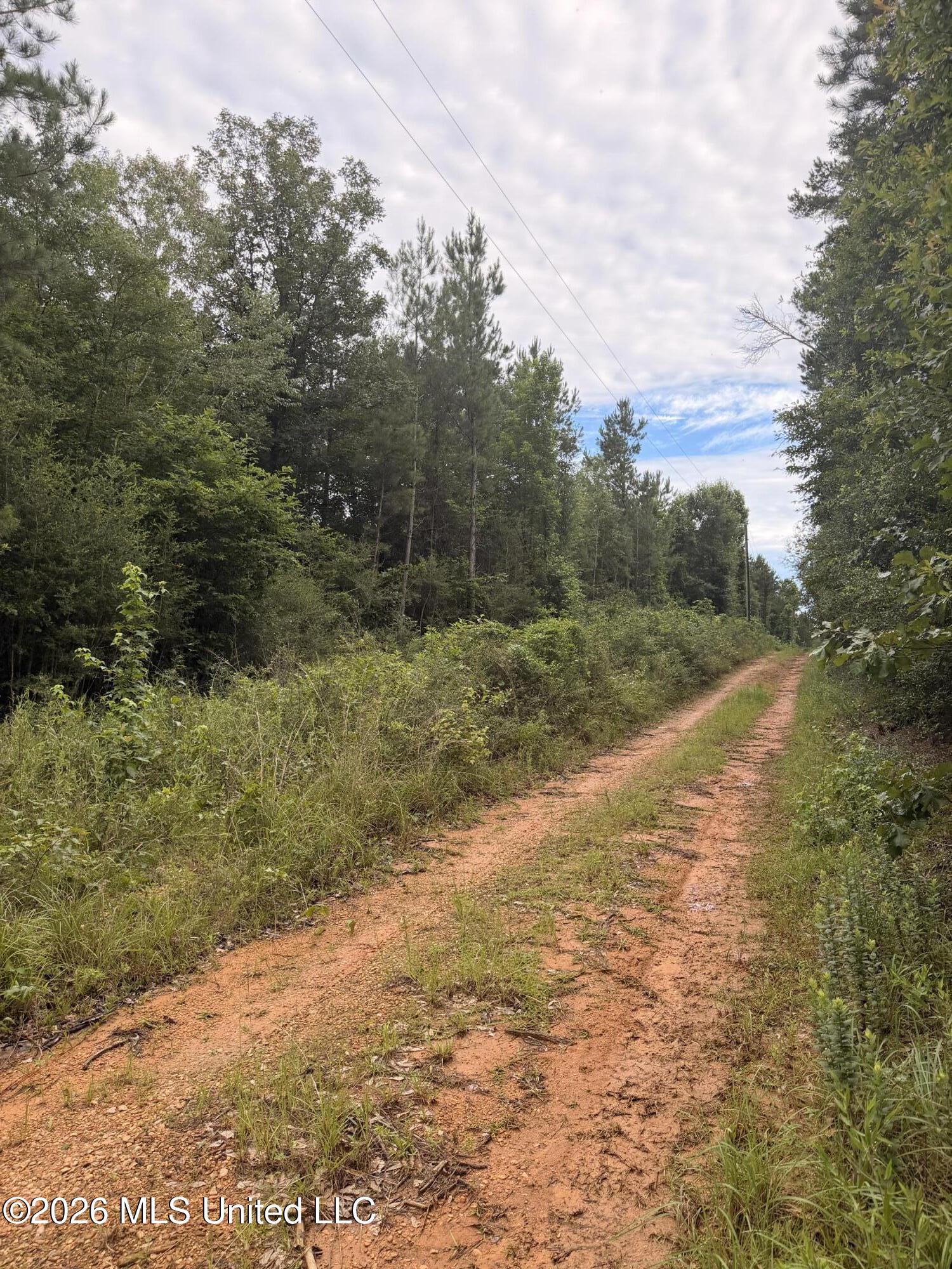 Land in McComb
