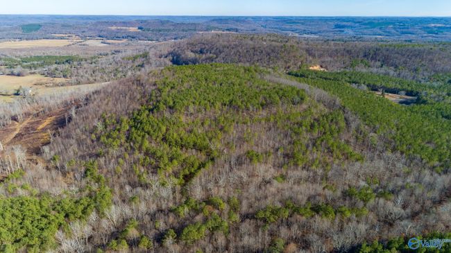 80 acres Rock Creek Rd, Home with 0 bedrooms, 0 bathrooms and null parking in Eva AL | Image 13