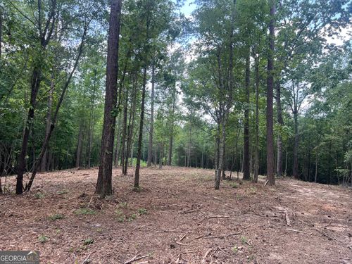 3-LOT 3 Gum Creek Airport Rd, ROOPVILLE, GA, 30170-3710 | Card Image