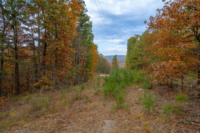 5 - 0 Highway Jj, Home with 0 bedrooms, 0 bathrooms and null parking in Marquand MO | Image 10