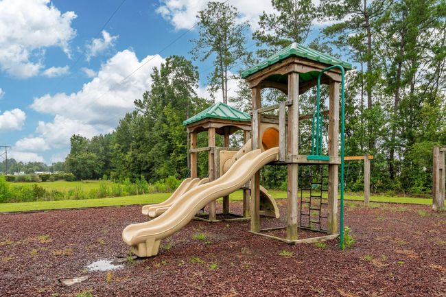 PARK PHOTO 2 | Image 59