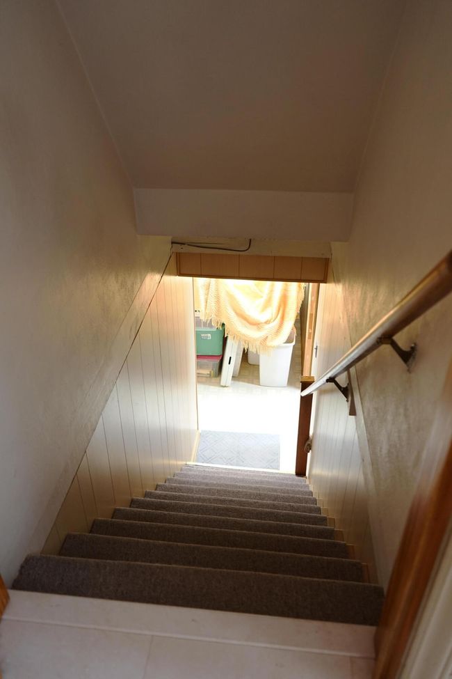 Let's Go See the Lower Level... | Image 30