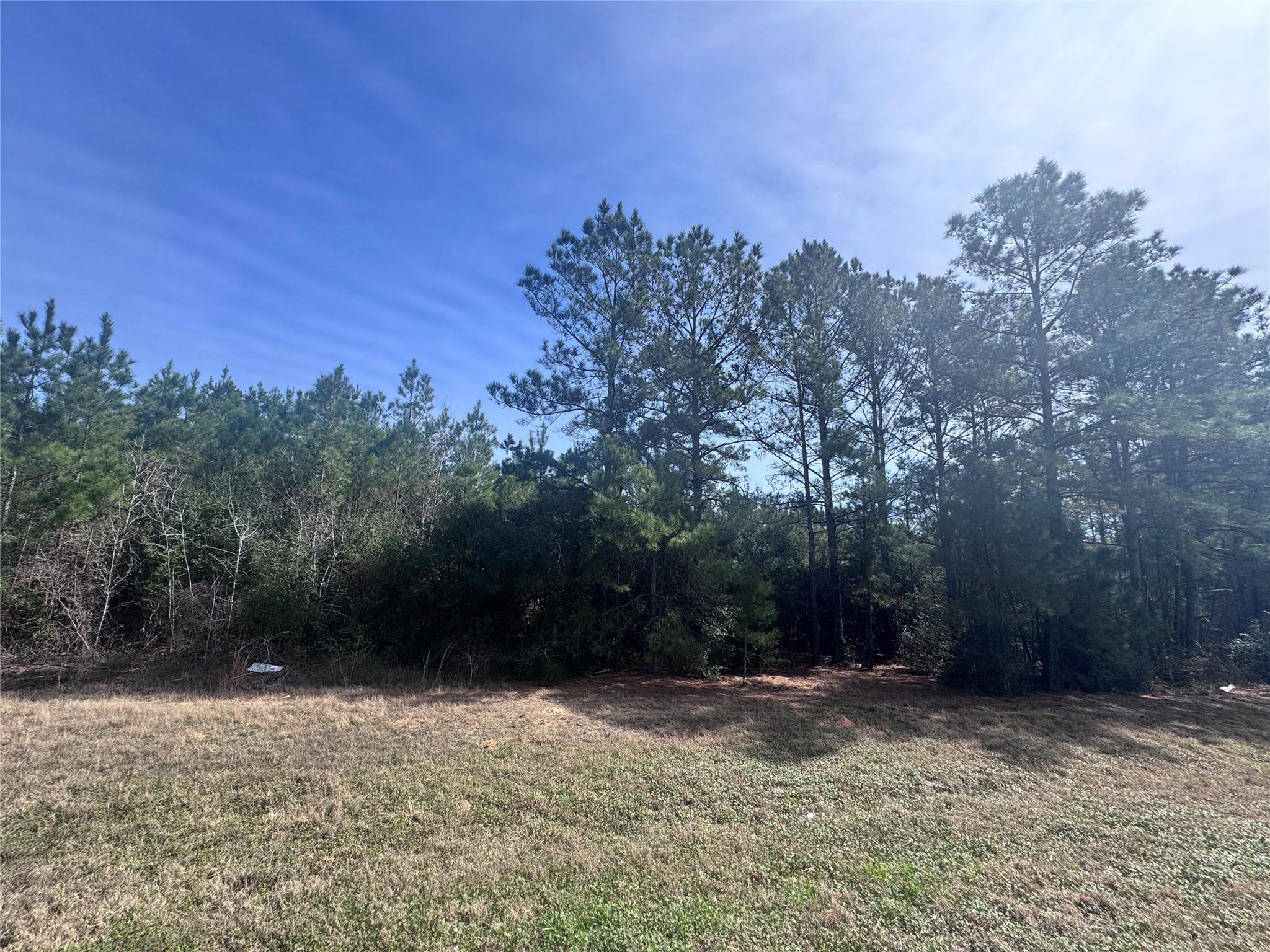 Land in Willis 4