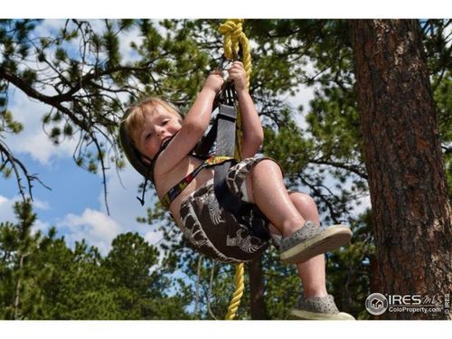 747 Coyote Hill Rd, Allenspark, CO, 80510-9630 | Card Image