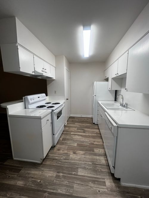 205-1037 E 44th Street, Austin, TX, 78751 | Card Image