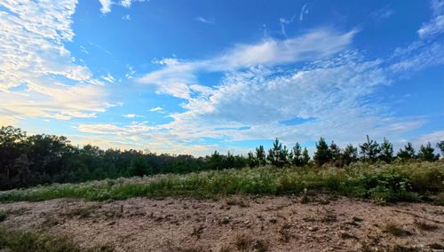 xx Roxanne Rd, Lonsdale, AR, 72087 | Card Image